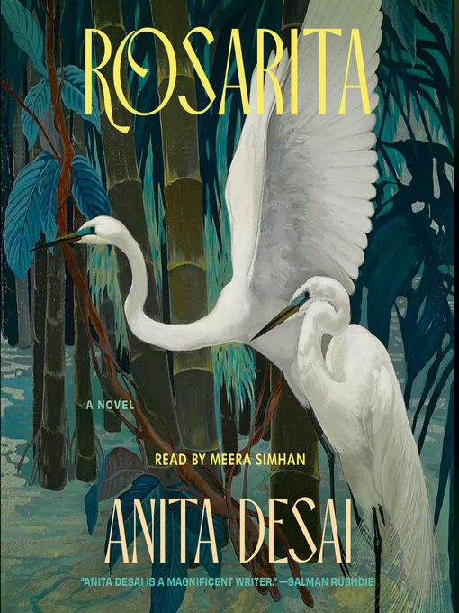 Title details for Rosarita by Anita Desai - Wait list